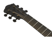 Ibanez AEG621BOT Black Out Ibanez AEG621BOT Black Out